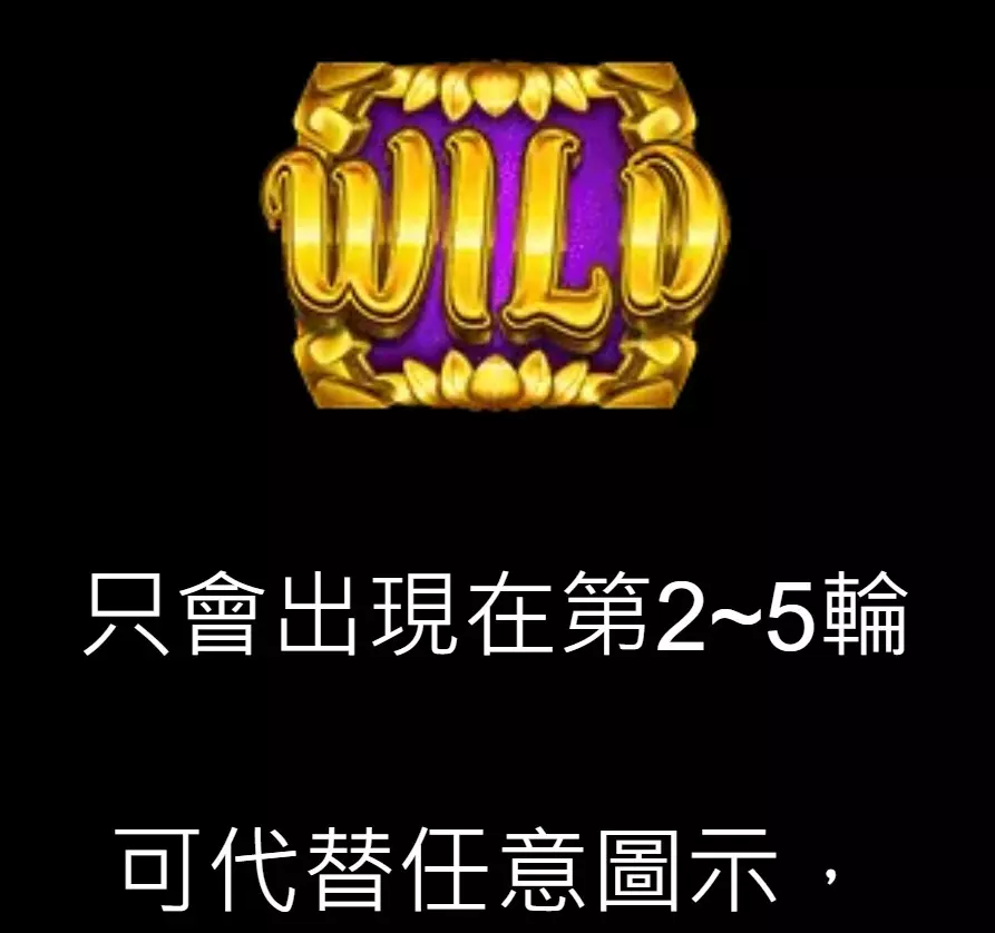 福星電子金銀鯉